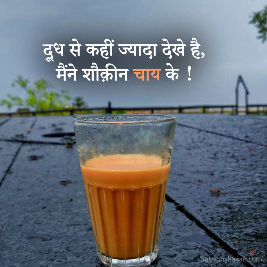 New Chai Shayari Hindi