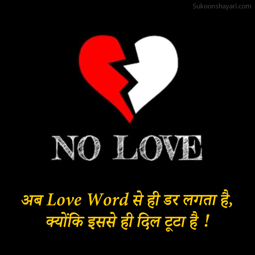 No Love Shayari